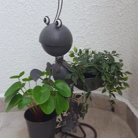 Sarreti Apartmanhaz * 블로톤퓌레드